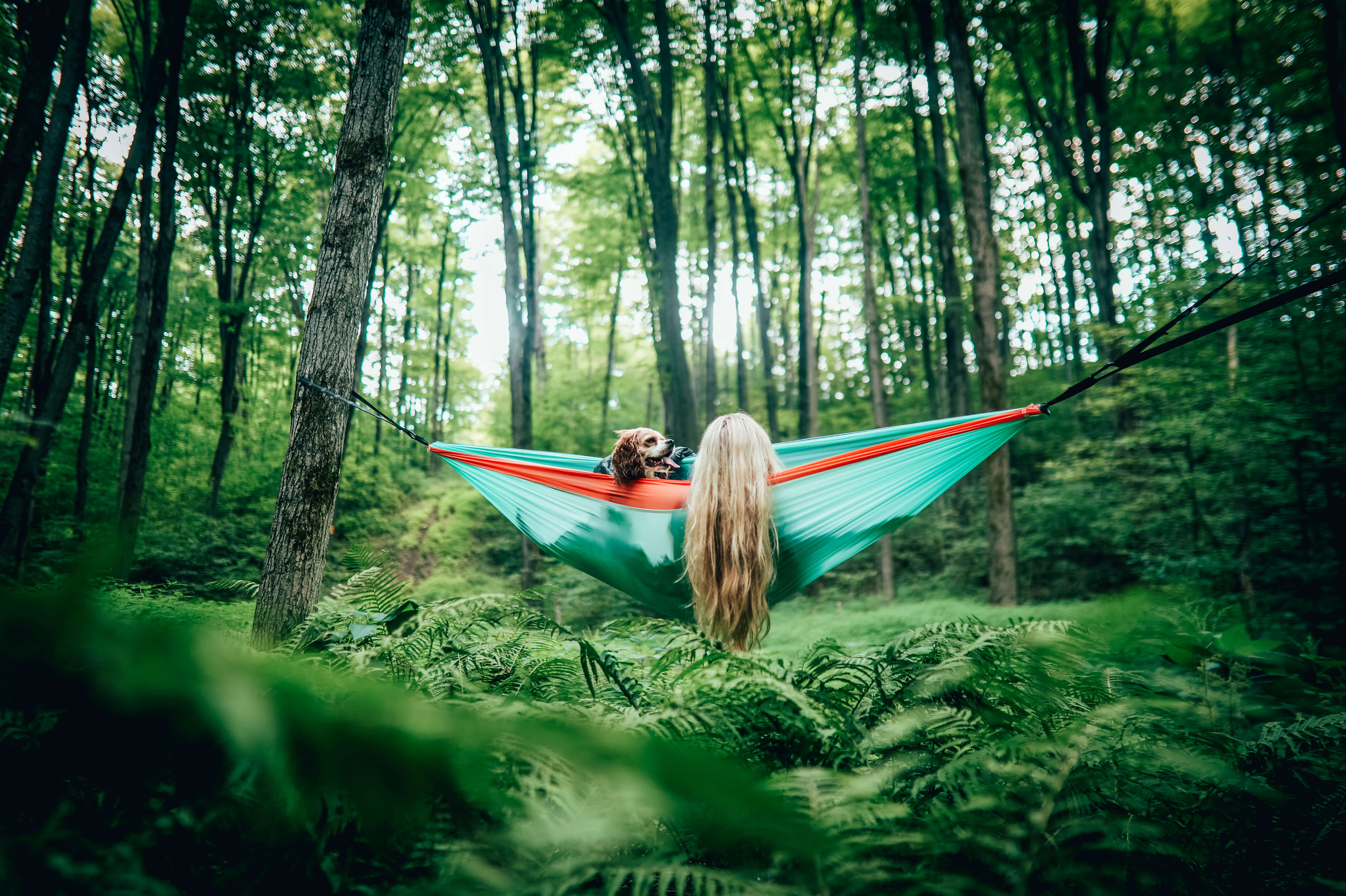 Recycled Hammock & Recycled Picnic Blanket Combo