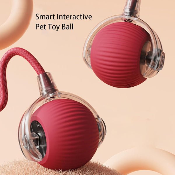 PawBot™ Smart Pet Ball – Interactive & Pet-Friendly