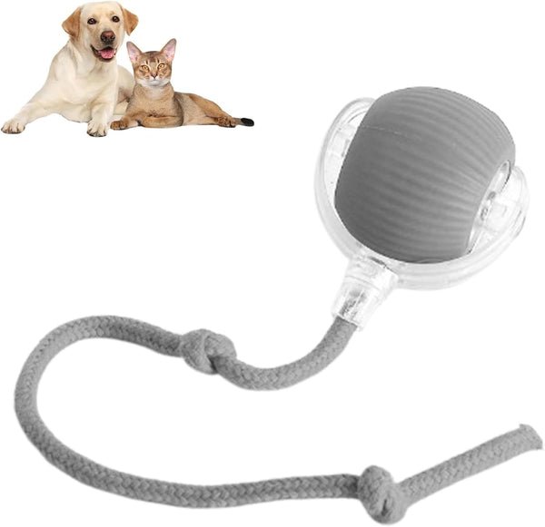 PawBot™ Smart Pet Ball – Interactive & Pet-Friendly