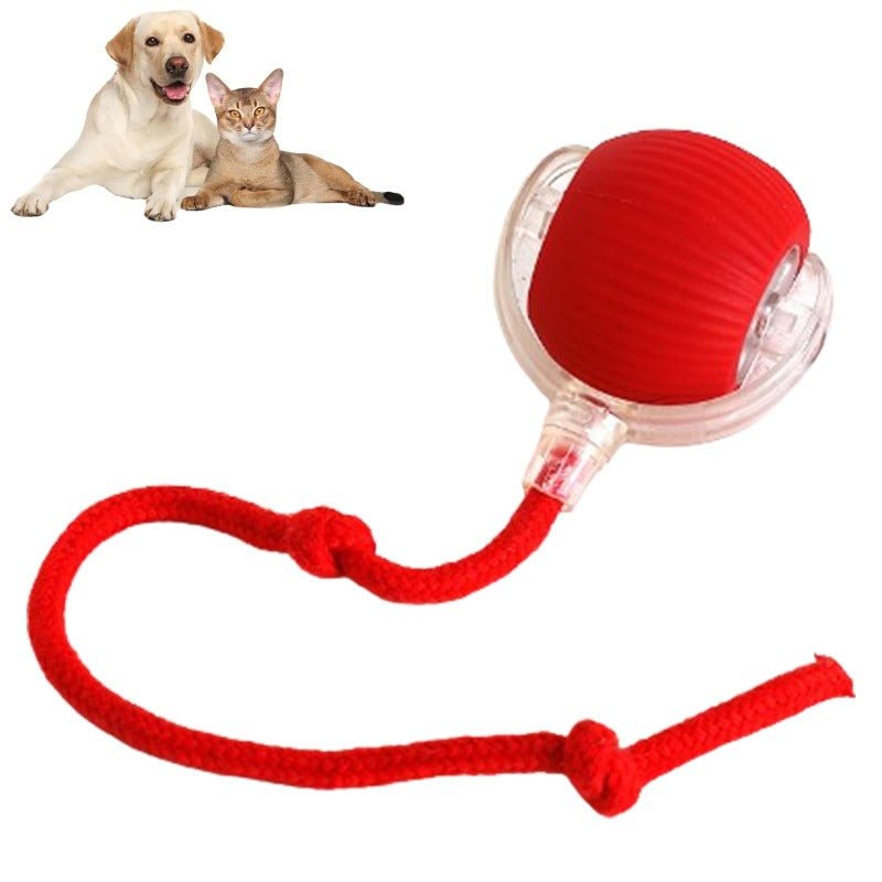 PawBot™ Smart Pet Ball – Interactive & Pet-Friendly