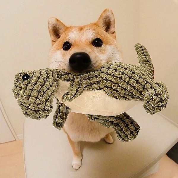 Robust Dino Dog Toy